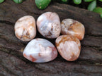 Polished Flower Agate Galets x 70 From Antsahalova, Madagascar