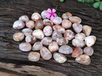 Polished Flower Agate Galets x 70 From Antsahalova, Madagascar