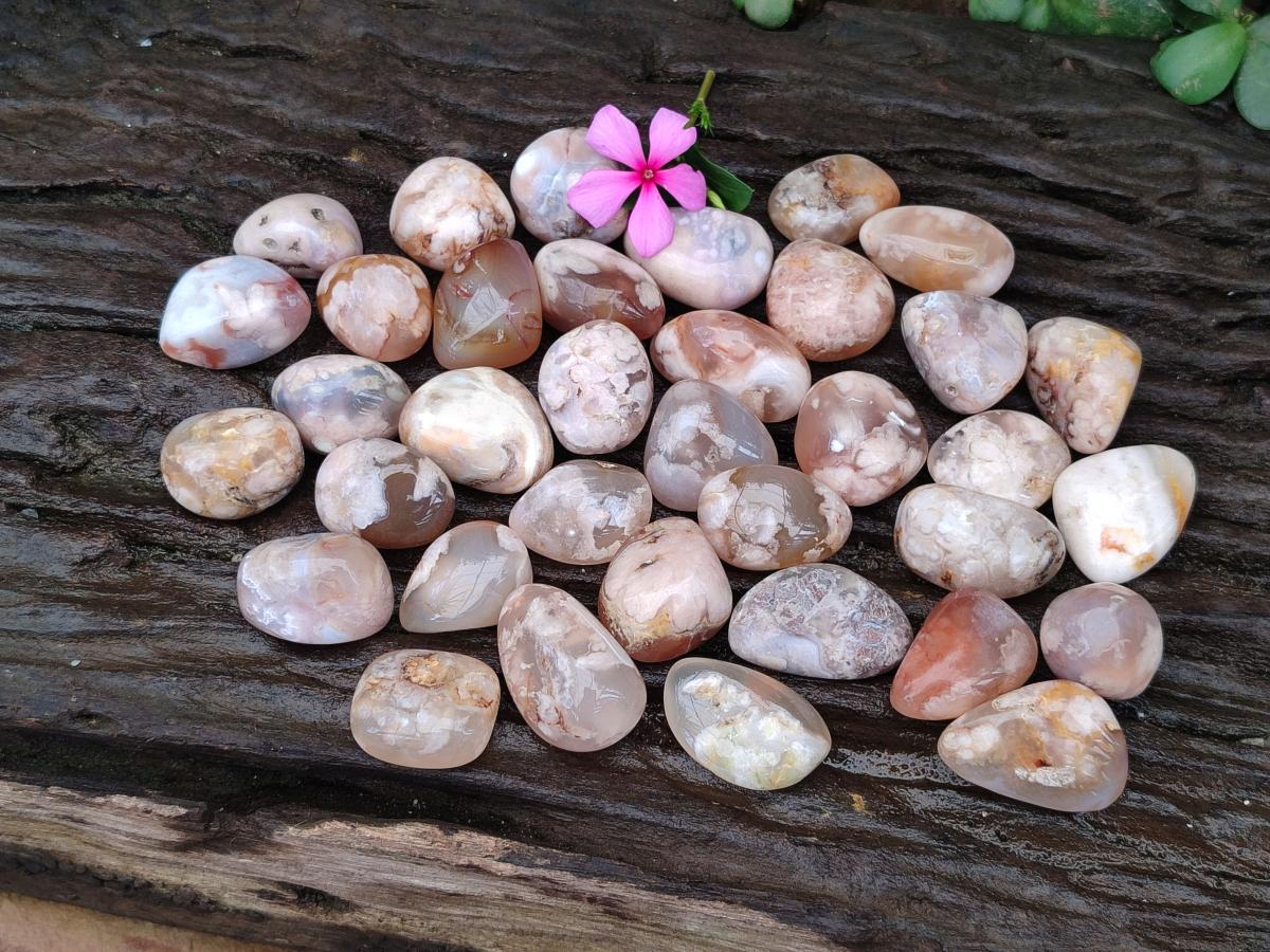 Polished Flower Agate Galets x 70 From Antsahalova, Madagascar