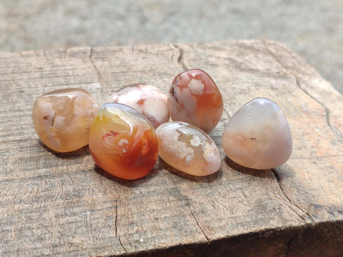 Polished Flower Agate Galets x 70 From Antsahalova, Madagascar