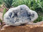 Natural Large Blue Celestite Geode Specimen x 1 From Sakoany, Madagascar