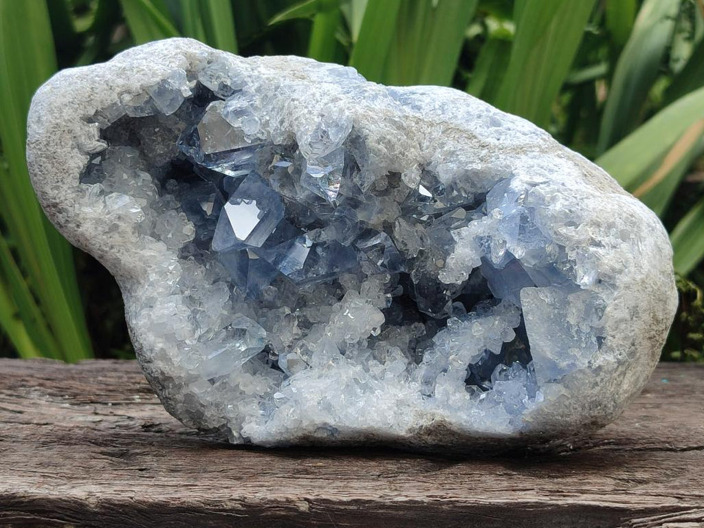 Natural Large Blue Celestite Geode Specimen x 1 From Sakoany, Madagascar