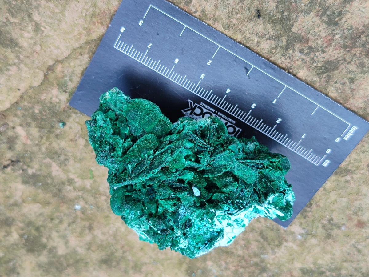 Natural Rare Malachite Pseudomorph Specimens x 12 From Kolwezi, Congo