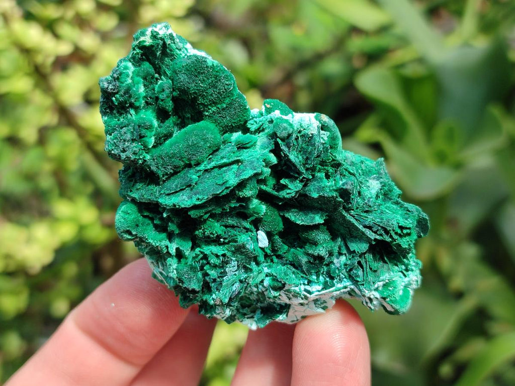 Natural Rare Malachite Pseudomorph Specimens x 12 From Kolwezi, Congo
