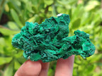 Natural Rare Malachite Pseudomorph Specimens x 12 From Kolwezi, Congo