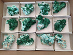 Natural Rare Malachite Pseudomorph Specimens x 12 From Kolwezi, Congo