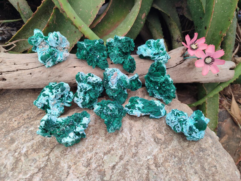 Natural Rare Malachite Pseudomorph Specimens x 12 From Kolwezi, Congo