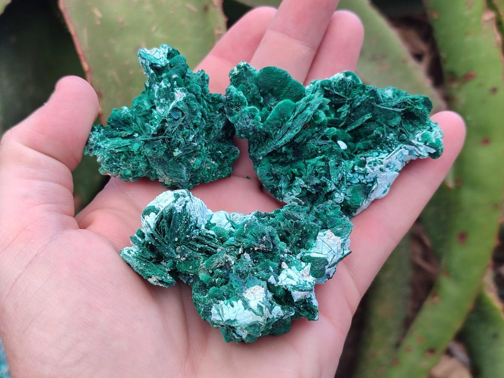 Natural Rare Malachite Pseudomorph Specimens x 12 From Kolwezi, Congo