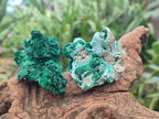 Natural Rare Malachite Pseudomorph Specimens x 12 From Kolwezi, Congo