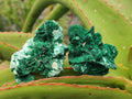 Natural Rare Malachite Pseudomorph Specimens x 12 From Kolwezi, Congo