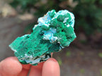 Natural Rare Malachite Pseudomorph Specimens x 12 From Kolwezi, Congo
