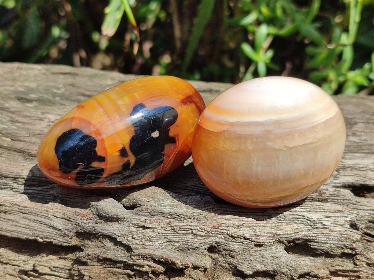 Polished Carnelian Agate Gemstone Galets x 12 From Madagascar
