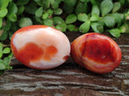 Polished Carnelian Agate Gemstone Galets x 12 From Madagascar