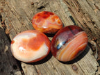 Polished Carnelian Agate Gemstone Galets x 12 From Madagascar