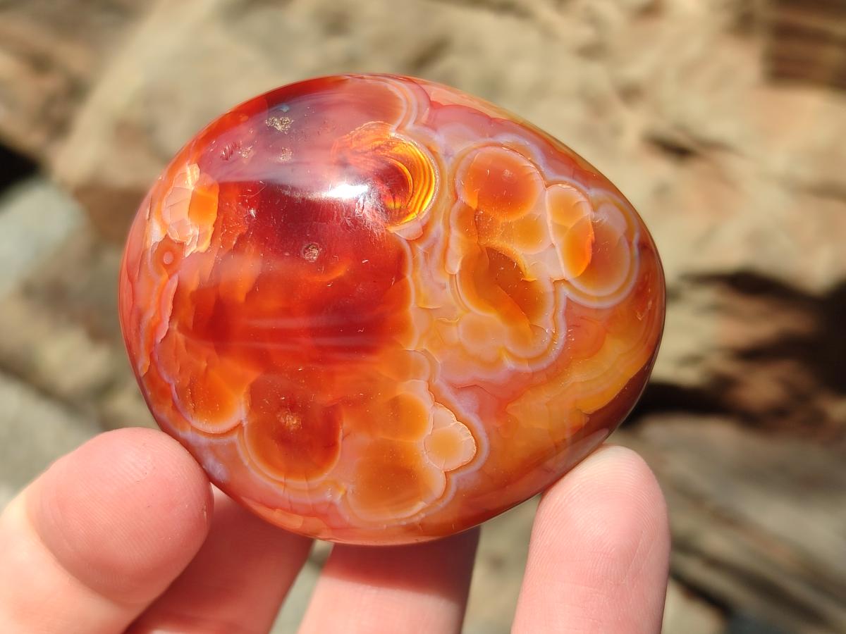 Polished Carnelian Agate Gemstone Galets x 12 From Madagascar