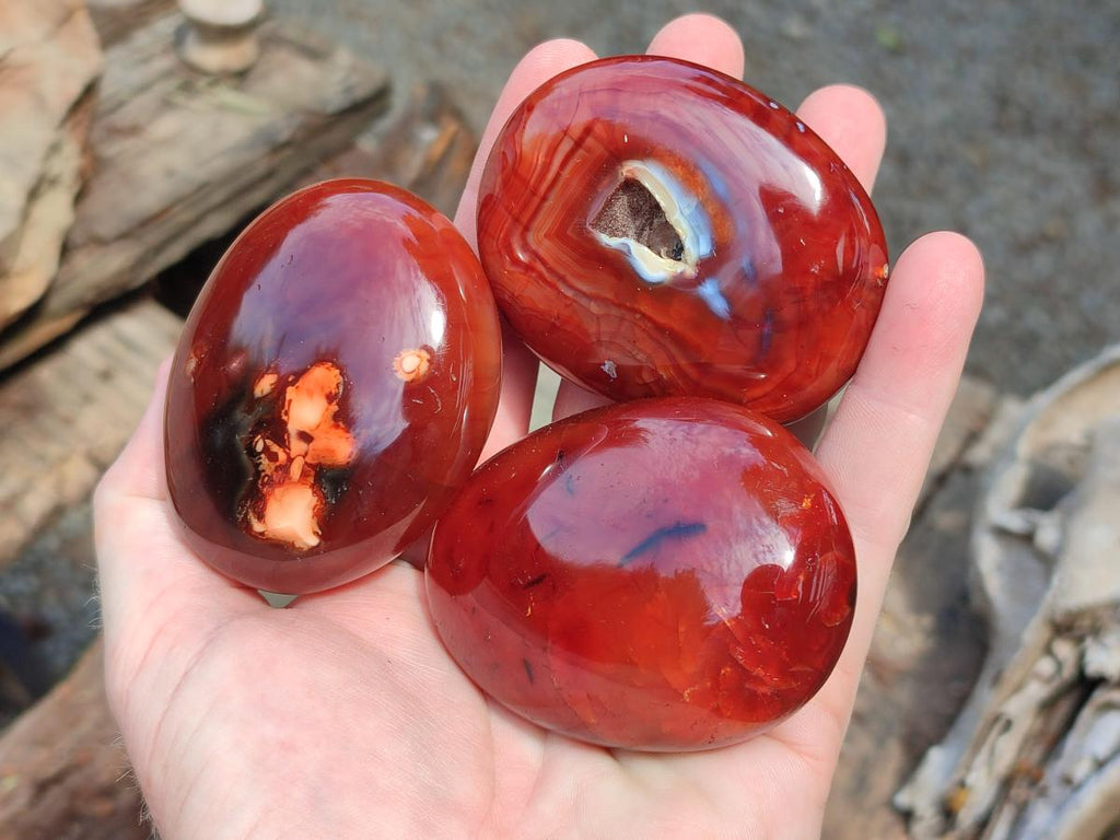 Polished Carnelian Agate Gemstone Galets x 12 From Madagascar
