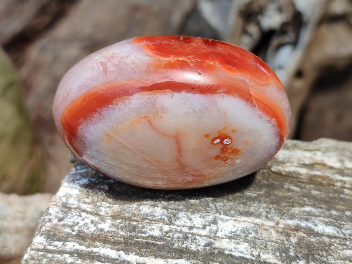 Polished Carnelian Agate Gemstone Galets x 12 From Madagascar