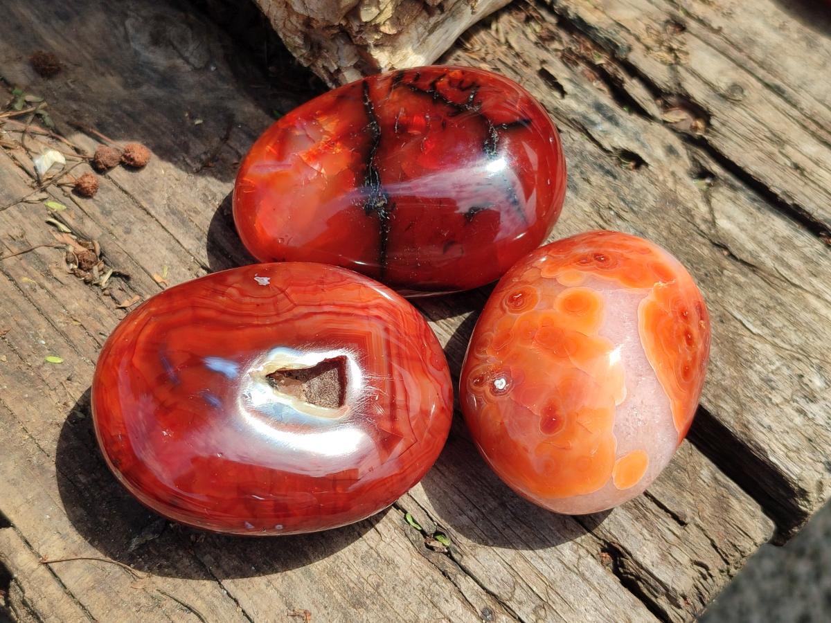 Polished Carnelian Agate Gemstone Galets x 12 From Madagascar