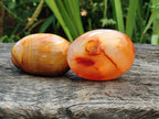 Polished Carnelian Agate Gemstone Galets x 12 From Madagascar