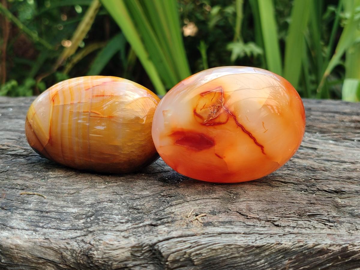 Polished Carnelian Agate Gemstone Galets x 12 From Madagascar