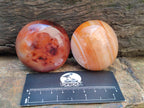 Polished Carnelian Agate Gemstone Galets x 12 From Madagascar