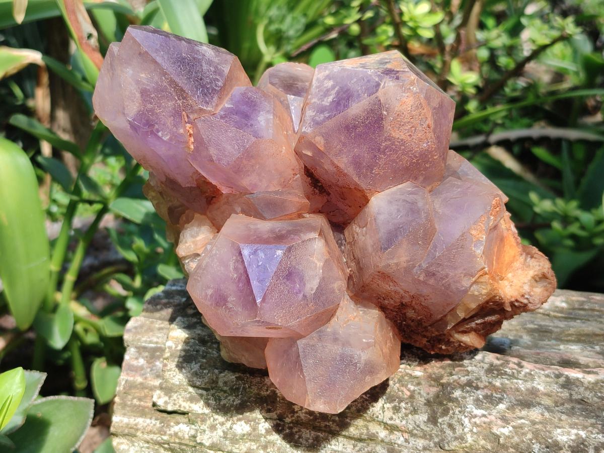 Natural Jacaranda Amethyst Crystal Clusters x 2 From Mumbwa, Zambia