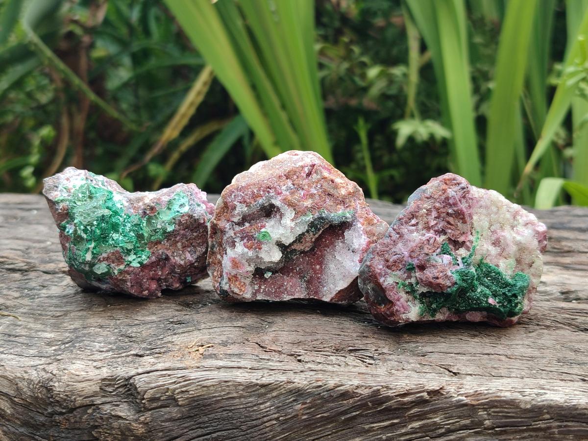 Natural Salrose Cobaltion Dolomite Specimens with Silky Malachite Crystals x 12 From Kakanda, Congo