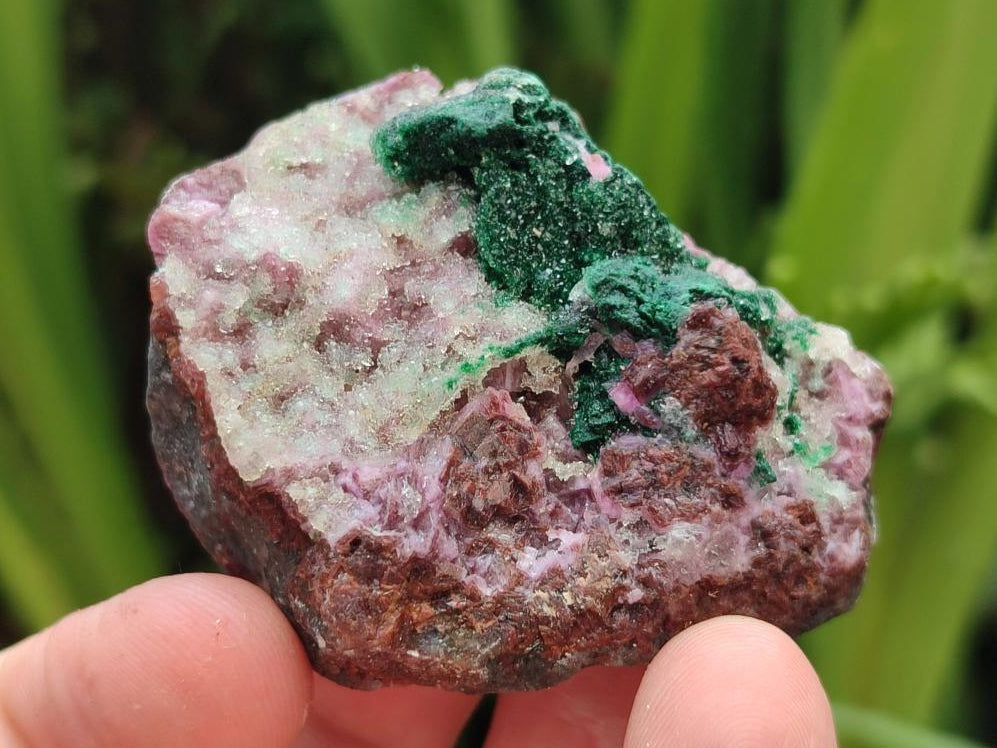 Natural Salrose Cobaltion Dolomite Specimens with Silky Malachite Crystals x 12 From Kakanda, Congo