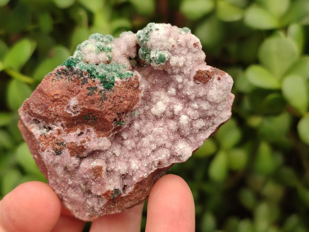 Natural Salrose Cobaltion Dolomite Specimens with Silky Malachite Crystals x 12 From Kakanda, Congo