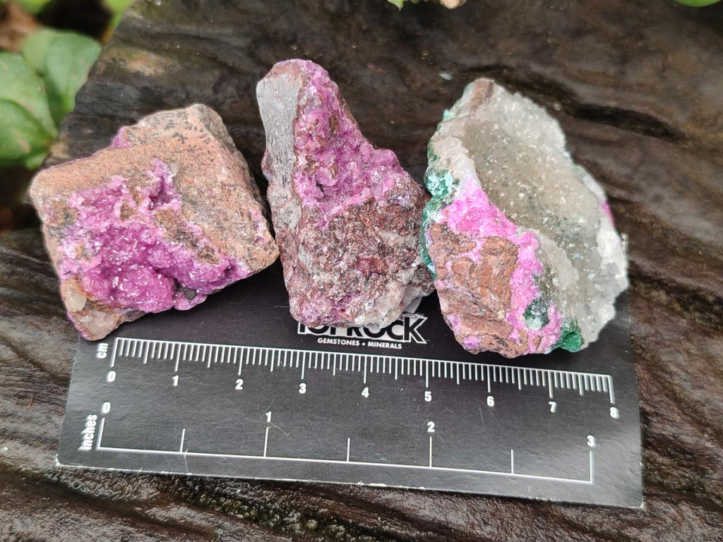 Natural Salrose Cobaltion Dolomite Specimens with Silky Malachite Crystals x 12 From Kakanda, Congo