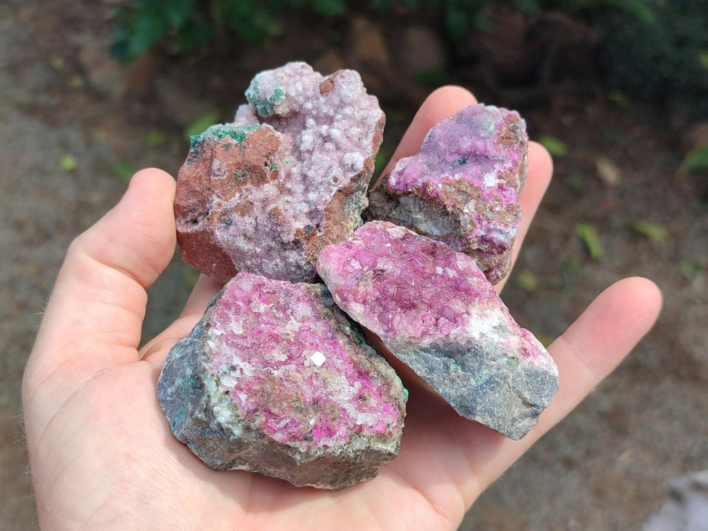 Natural Salrose Cobaltion Dolomite Specimens with Silky Malachite Crystals x 12 From Kakanda, Congo