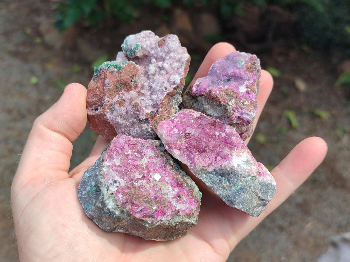 Natural Salrose Cobaltion Dolomite Specimens with Silky Malachite Crystals x 12 From Kakanda, Congo