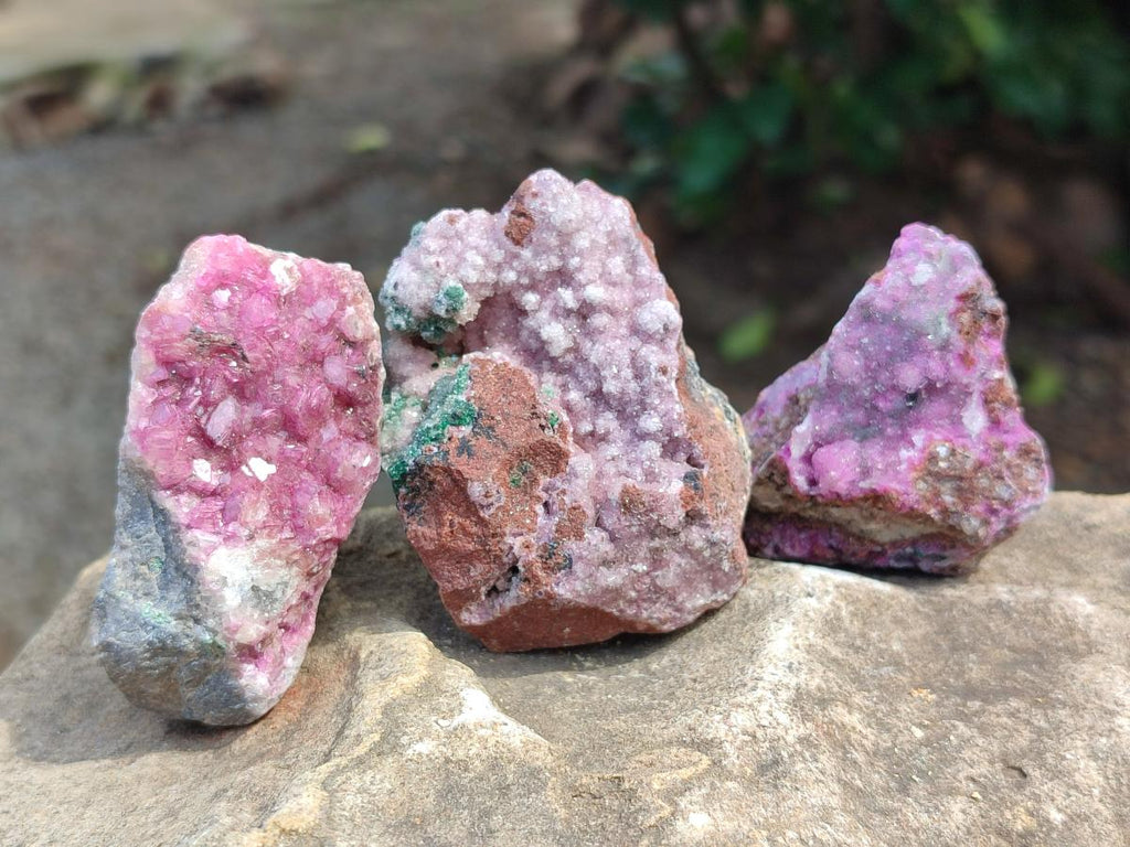Natural Salrose Cobaltion Dolomite Specimens with Silky Malachite Crystals x 12 From Kakanda, Congo