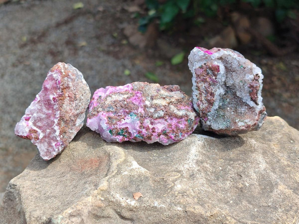Natural Salrose Cobaltion Dolomite Specimens with Silky Malachite Crystals x 12 From Kakanda, Congo