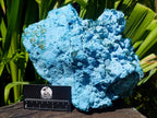 Natural XXL Botryoidal Chrysocolla Specimen x 1 From Kolwezi, Congo