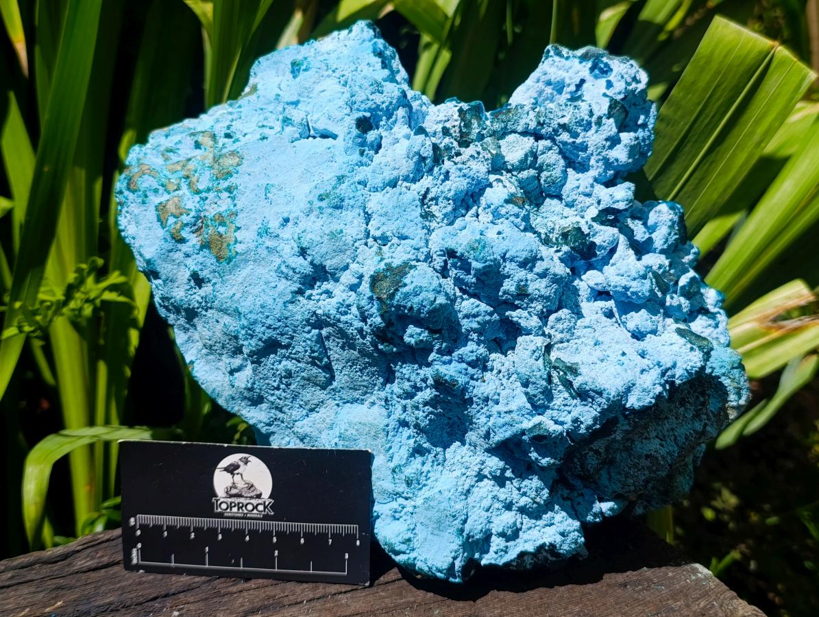 Natural XXL Botryoidal Chrysocolla Specimen x 1 From Kolwezi, Congo