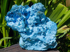 Natural XXL Botryoidal Chrysocolla Specimen x 1 From Kolwezi, Congo
