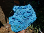 Natural XXL Botryoidal Chrysocolla Specimen x 1 From Kolwezi, Congo