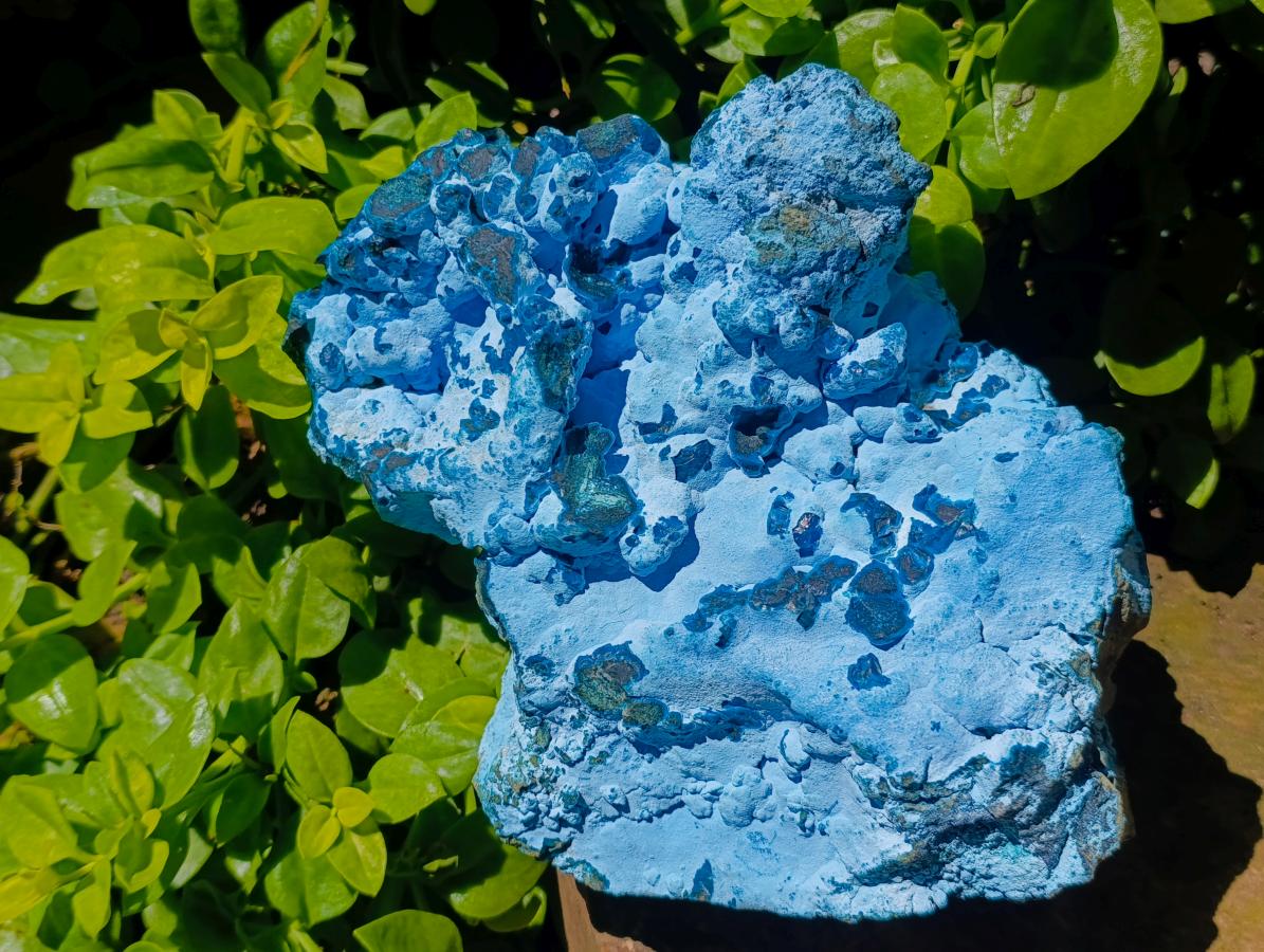 Natural XXL Botryoidal Chrysocolla Specimen x 1 From Kolwezi, Congo