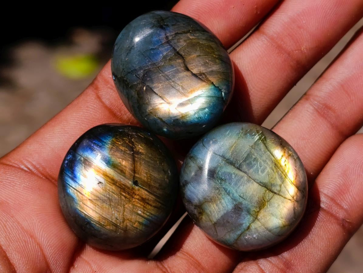 Polished Rounded Labradorite Free Forms x 70 From Madagascar