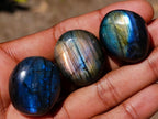 Polished Rounded Labradorite Free Forms x 70 From Madagascar