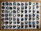 Polished Rounded Labradorite Free Forms x 70 From Madagascar