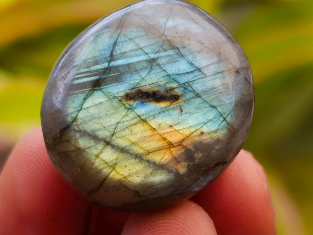 Polished Rounded Labradorite Free Forms x 70 From Madagascar