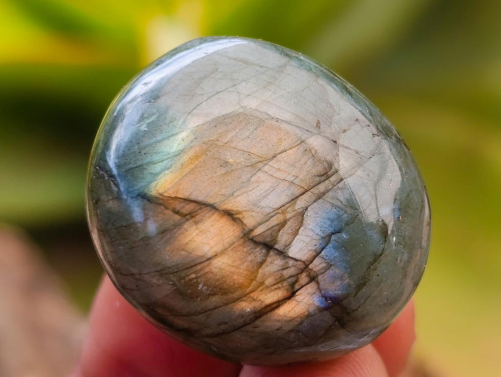 Polished Rounded Labradorite Free Forms x 70 From Madagascar