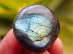 Polished Rounded Labradorite Free Forms x 70 From Madagascar