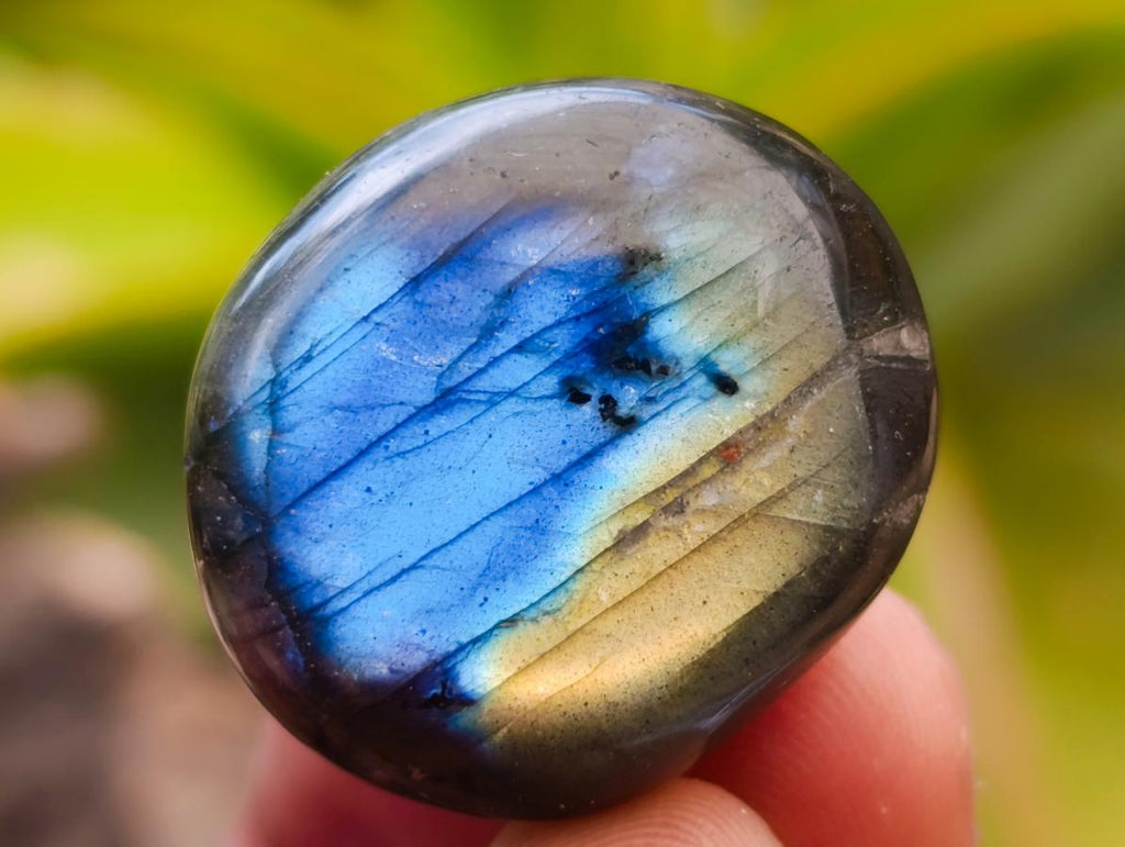 Polished Rounded Labradorite Free Forms x 70 From Madagascar