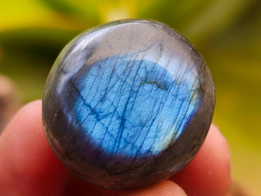 Polished Rounded Labradorite Free Forms x 70 From Madagascar