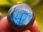 Polished Rounded Labradorite Free Forms x 70 From Madagascar