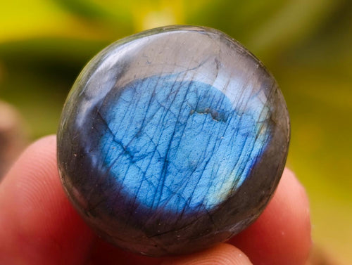 Polished Rounded Labradorite Free Forms x 70 From Madagascar