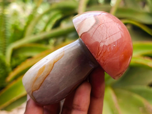Polished Large Polychrome Jasper Mushrooms x 6 From NW Coast, Madagascar